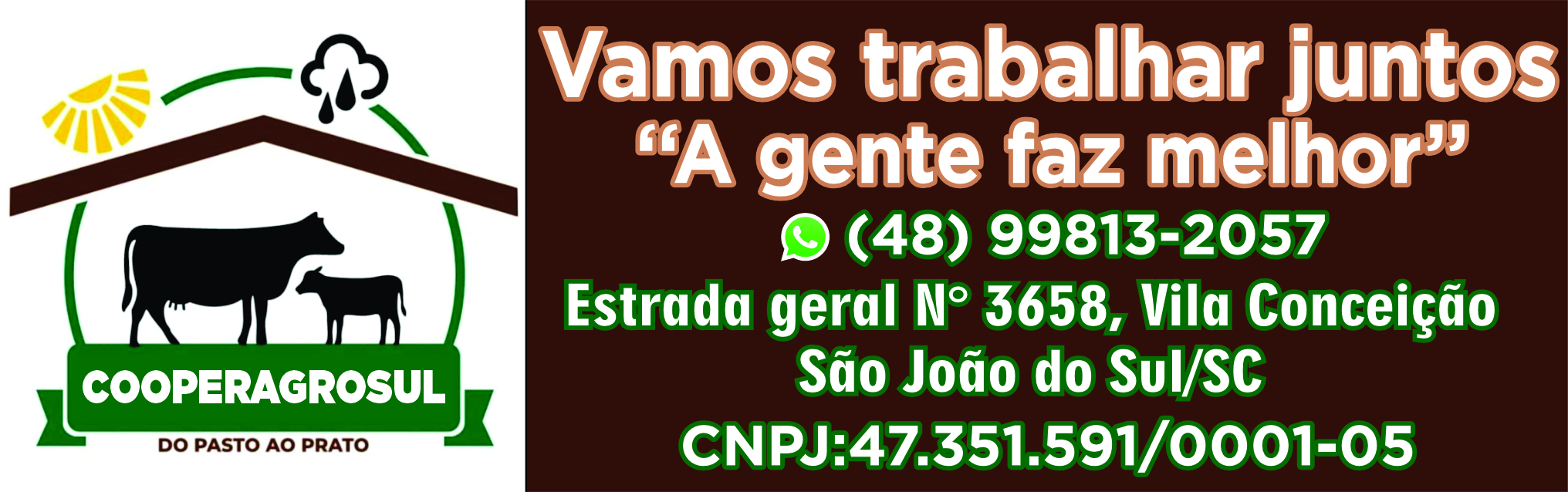 publicidade